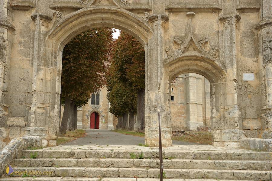 Nom de l'image : D30080429_1_(c)Norbert-JUNG — Description :